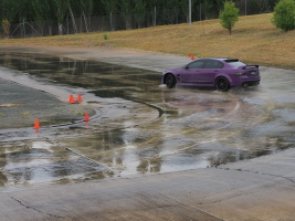D1292141.JPG