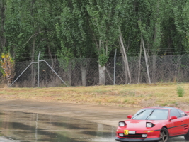 D1292643.JPG