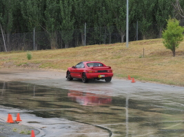 D1292743.JPG