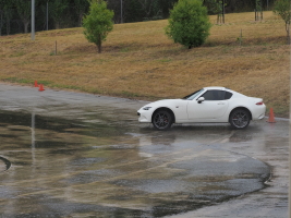 D1292753.JPG