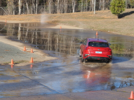 D5182019.JPG