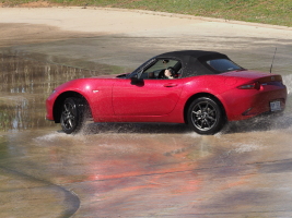 NA210380.JPG